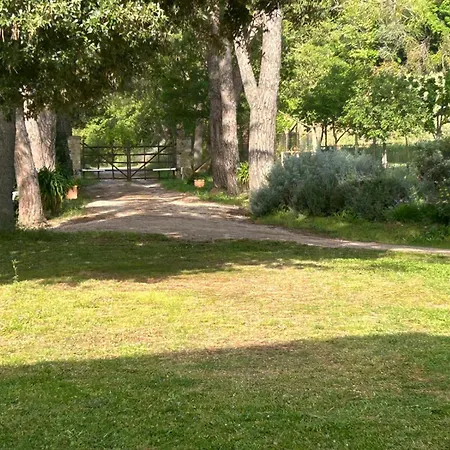 Poggio Ceraso Di Lamioni Roberto Farm stay *